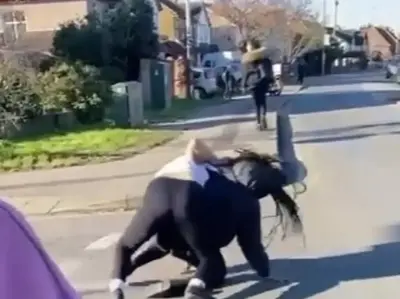 Four arrested on suspicion of racially aggravated assault after Black schoolgirl attacked