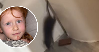 Mum films rat stealing five-year-old daughter's food in their vermin-infested home