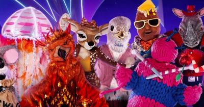 Masked Singer's Jellyfish, Rhino, Fawn, Phoenix and Jacket Potato all 'unmasked' by experts