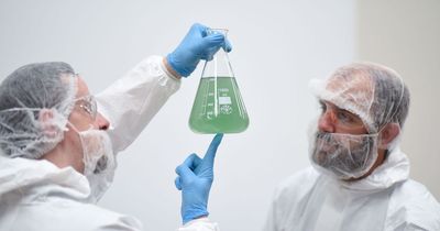 Scottish biotech firm aims to combat the common cold with superfood waste