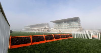 Punters can now have ashes spread at Cheltenham for four figure sum