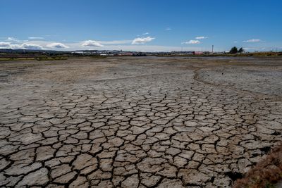 'The grass does not grow': In Chile's far south, the worst drought in 50 years
