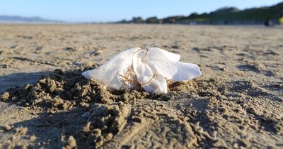 Condoms among 'dirty dozen' items that Dublin households shouldn't flush