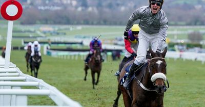 Shock French Cleeve Hurdle winner Gold Tweet to be supplemented for Cheltenham