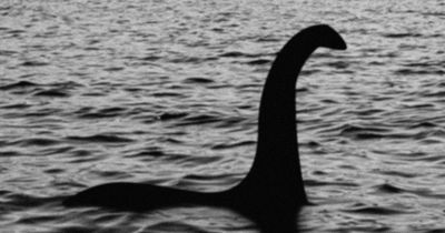 Loch Ness Monster theory as Nessie is spotted abroad and woman 'solves' mystery