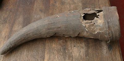 500-year-old horn container discovered in South Africa sheds light on pre-colonial Khoisan medicines