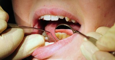Dentist and GP services at 'tipping point' and could 'get worse'