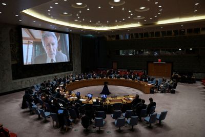 Ukraine slams Roger Waters over UN Security Council speech