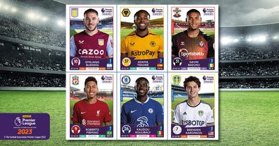 FREE Panini Premier League Stickers with this Friday and Saturday’s local paper - twelve to collect!