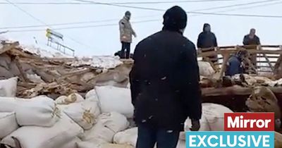 Turkey earthquake wipes out sheep as farmer tries to rescue animals from rubble