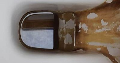 Mrs Hinch fans use popular fizzy drink to banish stubborn brown limescale from toilet