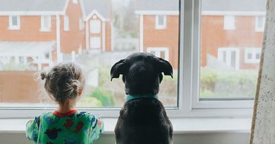23 reasons family dogs make life better for children
