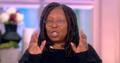 The View's Whoopi Goldberg takes aim at fans and demands they stop 'ruining the fun'