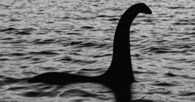 Loch Ness Monster mystery 'solved' as Nessie spotted more than 3,000 miles away