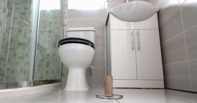 Woman says husband is 'disgusting' for not flushing the toilet during the night