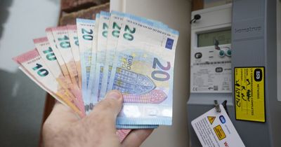Irish households to get further €90 off electricity bills this year