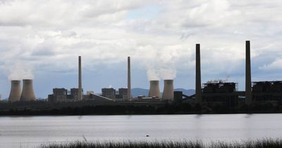 Minerals Council says AGL's 'cheap coal' shows something else is driving power prices
