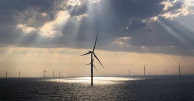 Decision on Humber's next big wind farm delayed as environmental issues examined