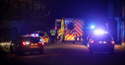 Suspect dies after arrest as 'stabbing victim' rushed to hospital with serious injuries