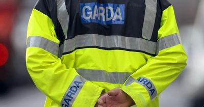 Man arrested in connection with 'incident of drone activity' at Dublin Airport