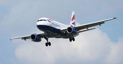 Brit collapses and dies after 11 hours on flight from Heathrow with wife