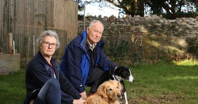 Undercover dog wardens stalked pensioners to GP surgery, cafe and ladies toilets