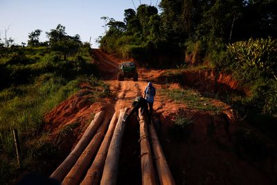Brazil police launch fresh raid to fight illegal mining in Yanomami lands