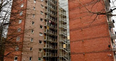 Woman burgled friend's flat on Christmas Eve and stole her television