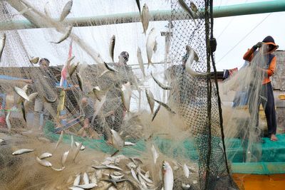 Corruption endangers world's shrinking fisheries