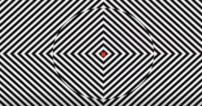 Staring at this optical illusion for two minutes 'makes world look very different'