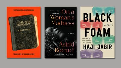 3 books in translation that have received acclaim in their original languages