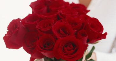eFlorist shoppers can get a dozen red roses for £4.99 this Valentine's Day