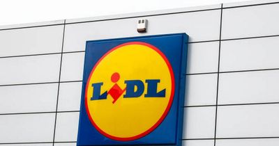 Lidl announce 'significant pay rise' for Irish workers as 700 new jobs become available this year