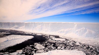 Antarctic ice hits record low for January