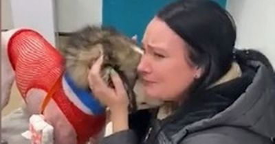 Emotional moment woman reunites with pet pooch after vicious dog attack on walk