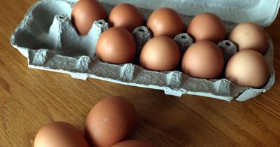 People are just learning the meaning of unique code printed on every egg