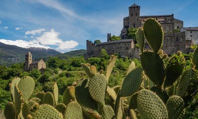 Cacti replacing snow on Swiss mountainsides due to global heating