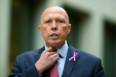 If Dutton can ride the wave of blame building against Labor, he’s in with a shot in Aston