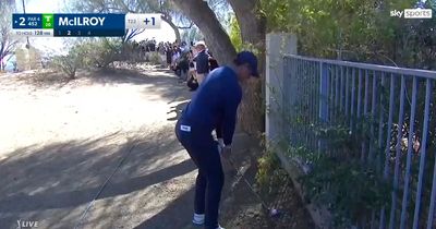 Rory McIlroy explains “impossible” shot as he wows fans with miracle escape from tree