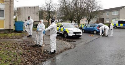 Forensic teams swarm East Kilbride street in search for murder weapon after man's death