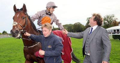 Millionaire sprinter A Case Of You leaves Ado McGuinness to continue career in Australia
