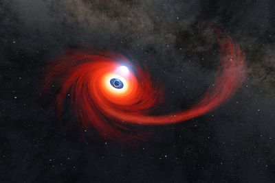 Visualizing star-munching black holes