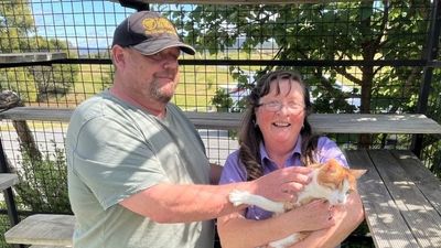 Could cats be better emotional support animals than dogs? These Australians say yes