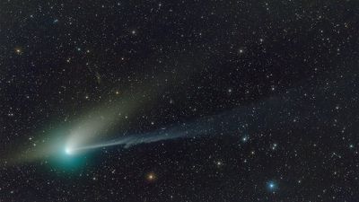 Have you caught the green comet yet? Space enthusiasts from all over the world did and their photos are stunning