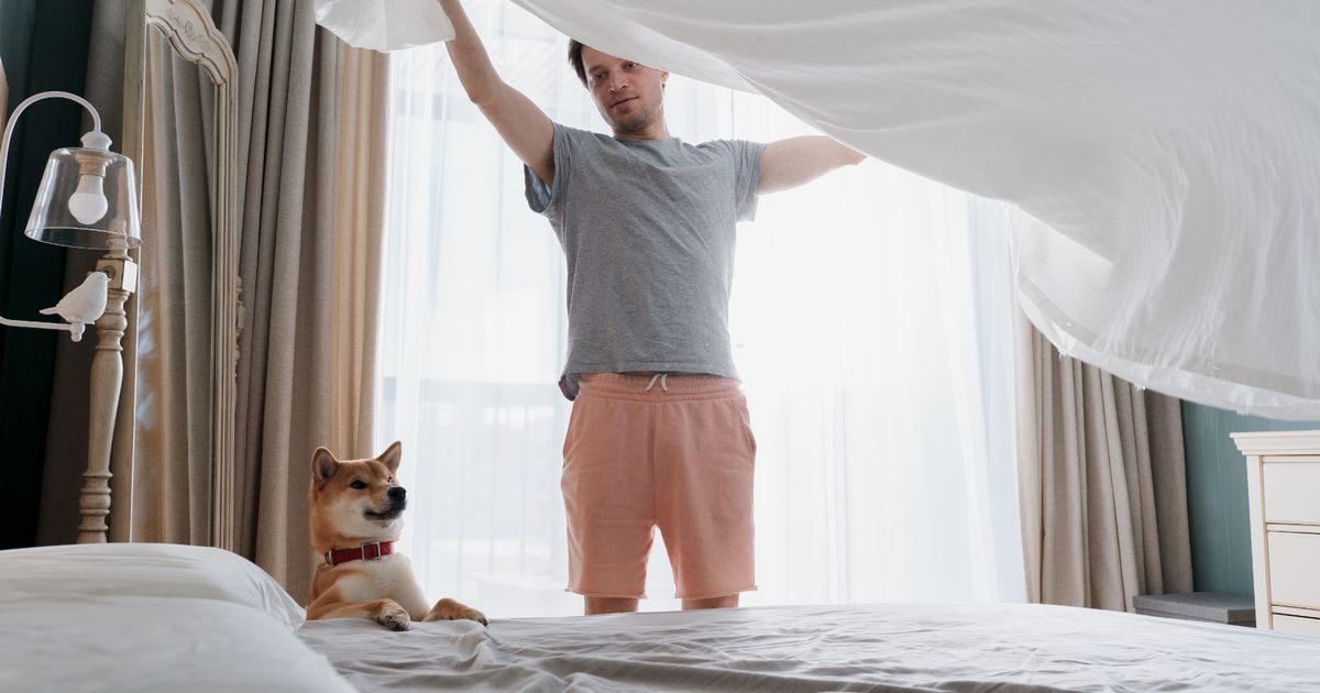 Mrs Hinch fans' tip for 'instantly' brightening white…