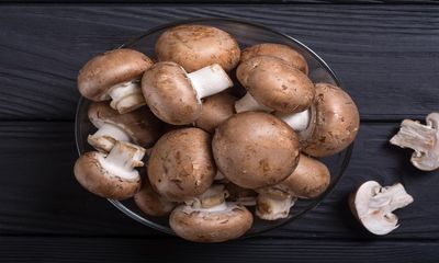 Study Identifies Active Compound In Mushroom Which Can Boost Nerve Growth