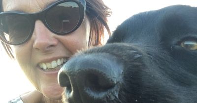 'Horrifying' attack by 'hunting dog' left woman shaken and facing vet bills of £3,500