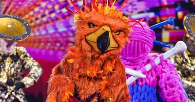 Masked Singer fans certain Phoenix is Hollywood actor pretending to be Doctor Who pal