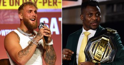 Jake Paul holds fight talks with ex-UFC heavyweight champion Francis Ngannou