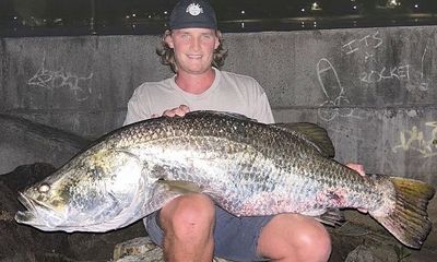 Angler lands massive barramundi as bull shark goes after catch